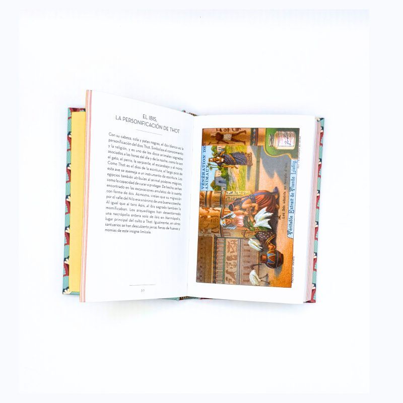 El Pequeño Libro de Egipto - Imagen 2
