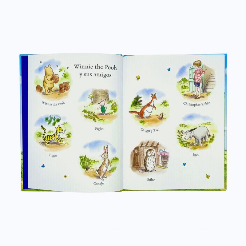 WINNIE THE POOH Y YO - Imagen 3